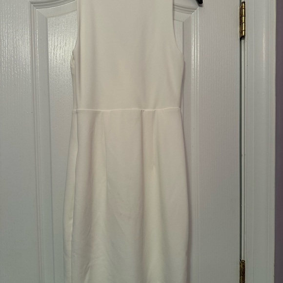 Express Dress - Picture 3 of 3